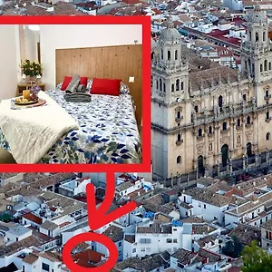 https://la-catedral-del-aove.es-andalucia.com